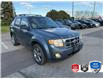 2011 Ford Escape XLT Automatic (Stk: D5S185XZ) in Oakville - Image 1 of 21