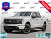 2025 Ford F-150 Lightning XLT (Stk: FH062) in Sault Ste. Marie - Image 1 of 26