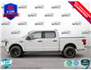 2025 Ford F-150 Lightning XLT (Stk: FH062) in Sault Ste. Marie - Image 3 of 26