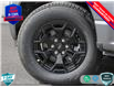 2025 Ford F-150 Lightning XLT (Stk: 25F1604) in St. Catharines - Image 8 of 26