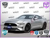 2021 Ford Mustang GT Premium (Stk: ELF512) in St. Catharines - Image 1 of 27