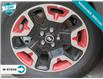 2024 Ford Bronco Sport Free Wheeling (Stk: 240128) in Hamilton - Image 8 of 21