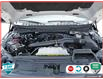 2024 Ford F-150 Tremor (Stk: 502478) in St. Catharines - Image 10 of 30