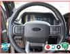 2024 Ford F-150 Tremor (Stk: 502478) in St. Catharines - Image 15 of 30