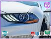 2020 Ford Mustang GT Premium (Stk: 603866) in St. Catharines - Image 10 of 28