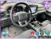 2021 Ford F-150 Lariat (Stk: 5F189A) in Oakville - Image 12 of 23