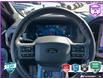 2024 Ford F-150 Lariat (Stk: 5F066A) in Oakville - Image 14 of 25