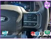 2024 Ford F-150 Lariat (Stk: 5F066A) in Oakville - Image 16 of 25
