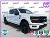 2024 Ford F-150 XLT (Stk: P7212A) in Oakville - Image 1 of 24