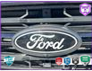 2024 Ford F-150 XLT (Stk: P7212A) in Oakville - Image 9 of 24