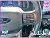 2024 Ford F-150 XLT (Stk: P7212A) in Oakville - Image 15 of 24