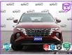 2024 Hyundai Tucson Hybrid Luxury (Stk: 502688) in St. Catharines - Image 2 of 27