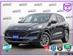 2022 Ford Escape SE (Stk: 603929) in St. Catharines - Image 1 of 27