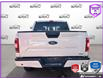 2019 Ford F-150 XLT (Stk: D5F166A) in Oakville - Image 5 of 25