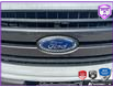 2019 Ford F-150 XLT (Stk: D5F166A) in Oakville - Image 9 of 25