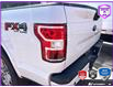2019 Ford F-150 XLT (Stk: D5F166A) in Oakville - Image 11 of 25