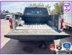 2019 Ford F-150 XLT (Stk: D5F166A) in Oakville - Image 12 of 25