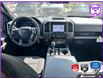 2019 Ford F-150 XLT (Stk: D5F166A) in Oakville - Image 24 of 25