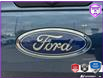 2019 Ford F-150 XLT (Stk: C014Z) in Oakville - Image 9 of 24