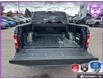 2019 Ford F-150 XLT (Stk: C014Z) in Oakville - Image 11 of 24
