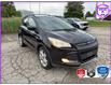 2013 Ford Escape SE (Stk: OFLP7360Z) in Oakville - Image 1 of 22