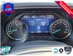2023 Ford F-150 XLT Silver