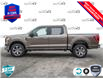 2023 Ford F-150 XLT (Stk: 23F1113) in St. Catharines - Image 3 of 24