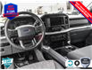 2023 Ford F-150 XLT (Stk: 23F1113) in St. Catharines - Image 14 of 24