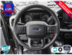 2023 Ford F-150 XLT (Stk: 23F1113) in St. Catharines - Image 17 of 24