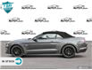 2023 Ford Mustang GT Premium (Stk: 23M2260) in Kitchener - Image 2 of 20
