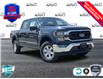 2023 Ford F-150 XLT (Stk: 3T950) in Oakville - Image 1 of 22