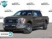 2023 Ford F-150 XLT (Stk: FF238) in Sault Ste. Marie - Image 1 of 22