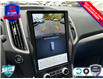 2024 Ford Edge SEL (Stk: 24ED051) in St. Catharines - Image 13 of 22