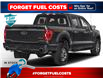 2023 Ford F-150 Tremor (Stk: 924633) in Wawa - Image 3 of 11
