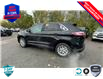 2024 Ford Edge SEL (Stk: 24ED051) in St. Catharines - Image 4 of 22