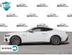 2024 Ford Mustang GT Premium (Stk: MG002) in Sault Ste. Marie - Image 3 of 23