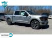 2024 Ford F-150 STX (Stk: 24F1341) in St. Catharines - Image 4 of 20