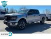 2024 Ford F-150 STX (Stk: 24F1341) in St. Catharines - Image 5 of 20