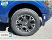 2024 Ford F-150 STX (Stk: 24F1170) in St. Catharines - Image 6 of 21