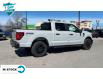2024 Ford F-150 STX (Stk: 24F1265) in St. Catharines - Image 3 of 20