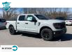 2024 Ford F-150 STX (Stk: 24F1265) in St. Catharines - Image 4 of 20