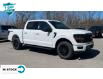 2024 Ford F-150 XLT (Stk: 24F1181) in St. Catharines - Image 4 of 21