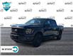 2024 Ford F-150 STX (Stk: 24F1273) in St. Catharines - Image 5 of 20