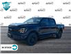 2024 Ford F-150 XLT (Stk: 24F1176) in St. Catharines - Image 5 of 21