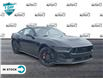 2024 Ford Mustang GT Premium (Stk: 240279) in Hamilton - Image 2 of 21
