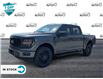 2024 Ford F-150 STX (Stk: 24F1453) in St. Catharines - Image 5 of 21