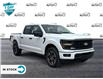 2024 Ford F-150 STX (Stk: 24F1460) in St. Catharines - Image 1 of 21
