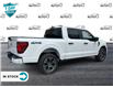 2024 Ford F-150 STX (Stk: 24F1460) in St. Catharines - Image 3 of 21