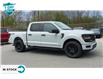 2024 Ford F-150 STX (Stk: 24F1454) in St. Catharines - Image 4 of 21