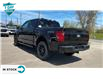 2024 Ford F-150 STX (Stk: 24F1457) in St. Catharines - Image 2 of 21